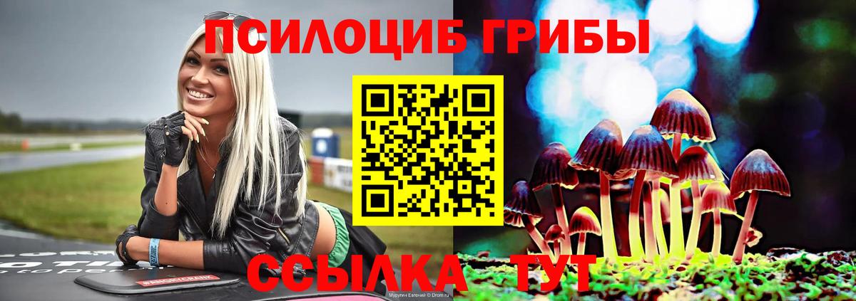 Лениногорск  Галлюциногенные грибы Psilocybe  Вход с VPN 