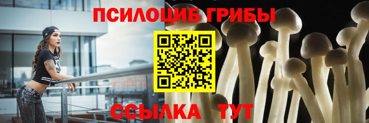 Галлюциногенные грибы ЛСД Лениногорск